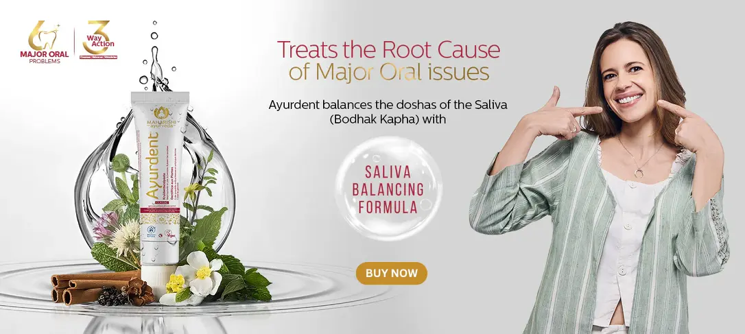 BUY_NOW_1_1088x488_32970216-49fc-486a-bbd5-807475104c5e (1)