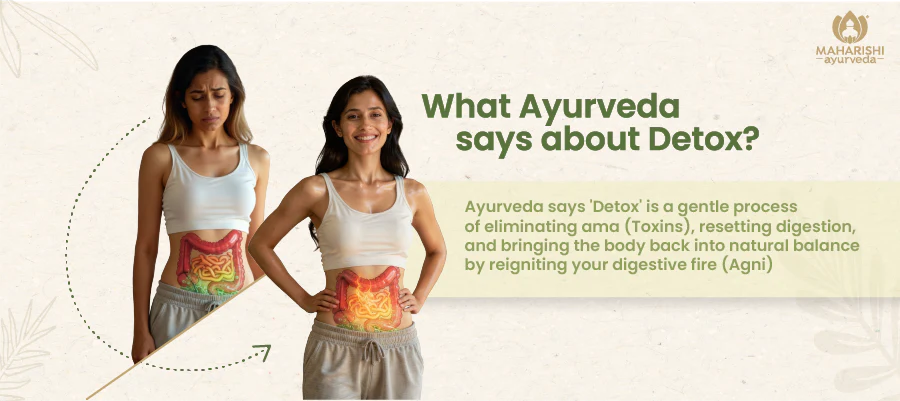 Web_Tiles_Desktop-05_128b0a89-5506-438d-9d4c-33ebea5315f2